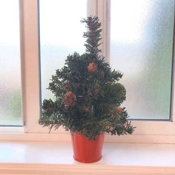 🎄 NEW Christmas Tree in a Pot (12 inch) - Picture 4 of 5